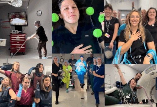 A photo collage of scenes from the Animal Emergency and Specialty Center's The Fate of Ophelia music video