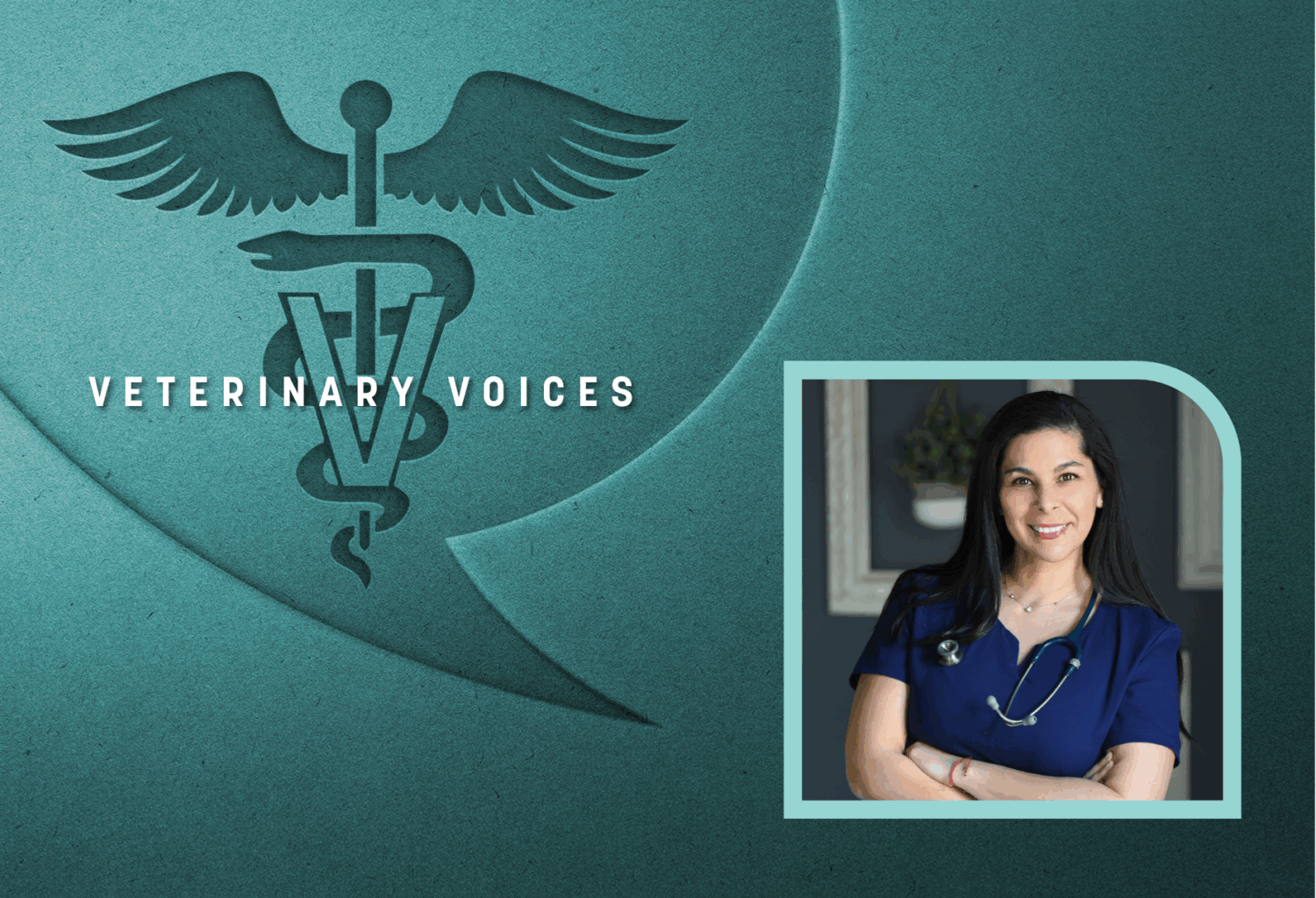 The veterinary voices logo on a teal background with a headshot of Mariana Pardo on it