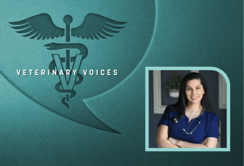 The veterinary voices logo on a teal background with a headshot of Mariana Pardo on it