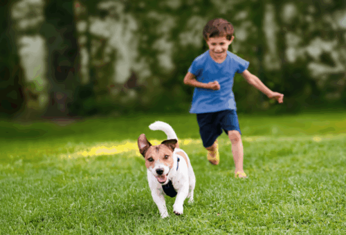 boy running outside with dog