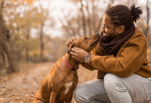 Black man with brown dog on walk in the fall