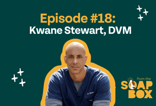 Kwane Stewart