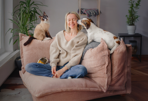 woman on couch of pillows with cat and dog