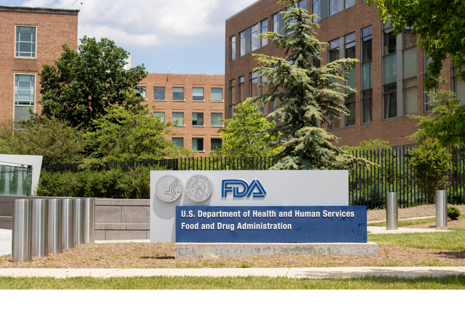 Photo of the FDA sign with trees and buildings in the background