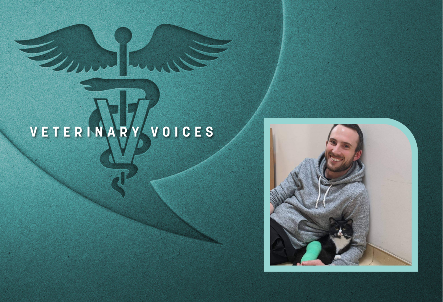 Veterinary voices logo on a teal background with a photo of Brian Goleman with a cat with a bandage