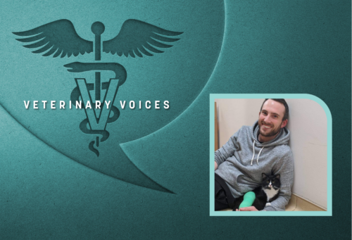Veterinary voices logo on a teal background with a photo of Brian Goleman with a cat with a bandage