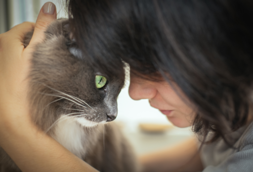 woman cuddling cat