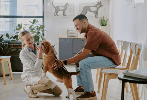 veterinarian with dog and client