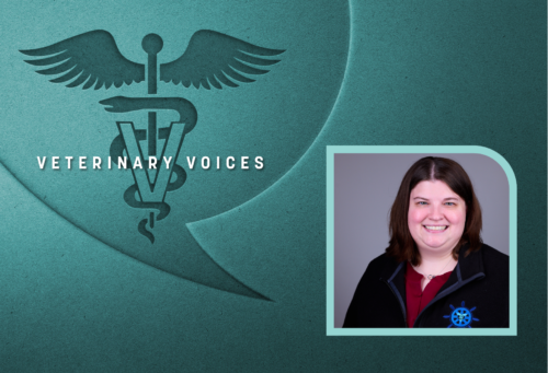 Veterinary Voices logo on a teal background with a headshot of Kate Boatright in the lower righthand corner