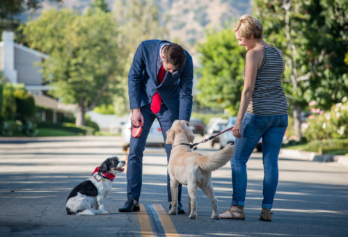 man in suit and woman in casual dress walk dogs down street