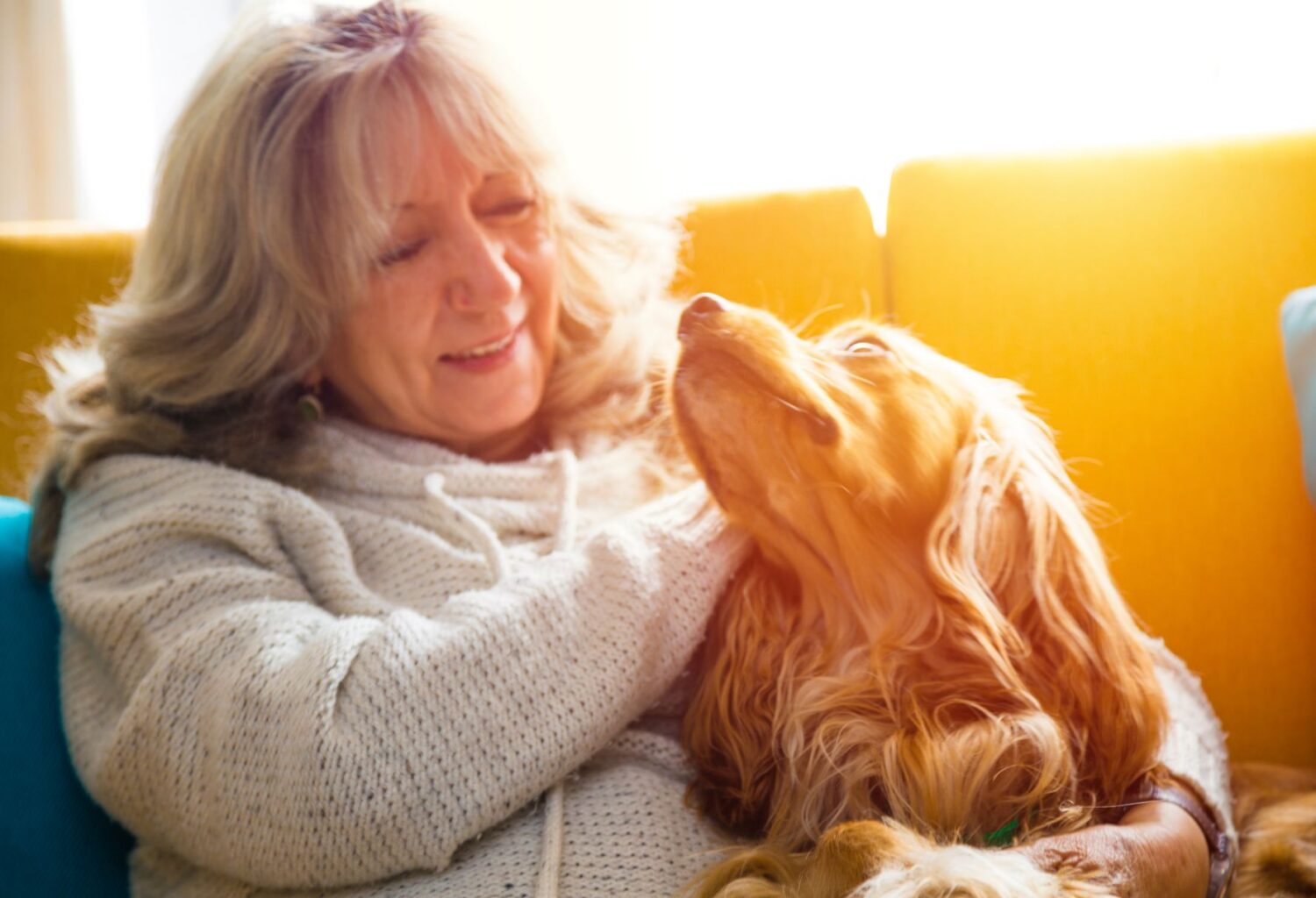 woman on couch with dog in sunshine