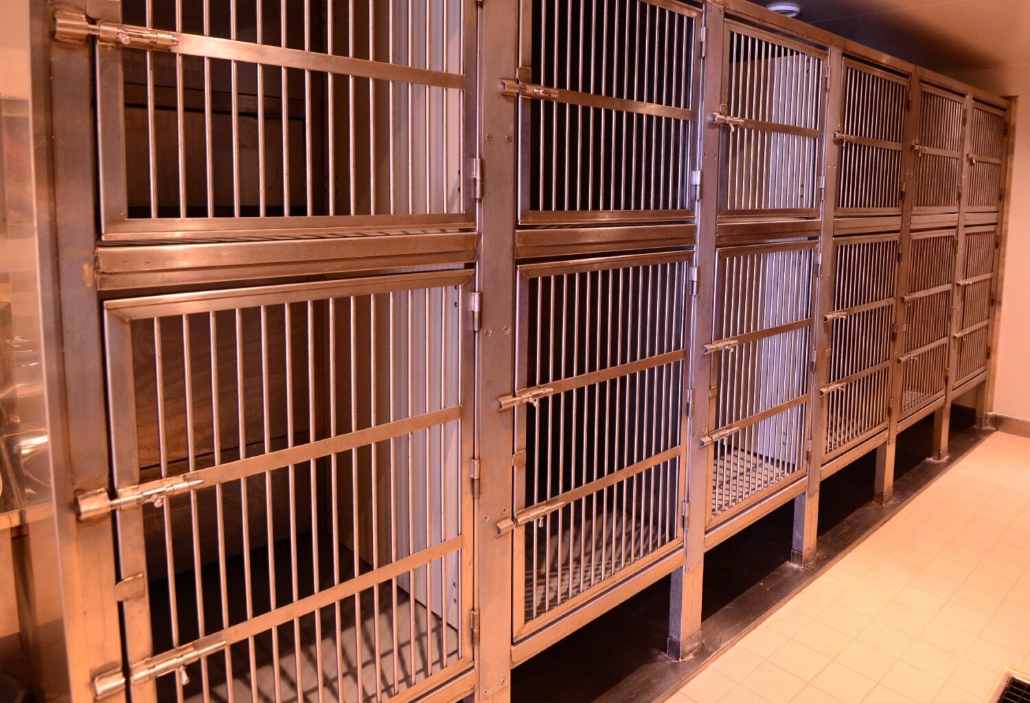 empty kennels at an animal boarding facility