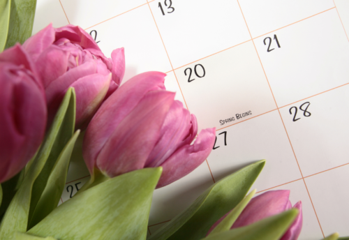 A bouquet of pink tulips is resting on a calendar page. The square for the 20th says 
