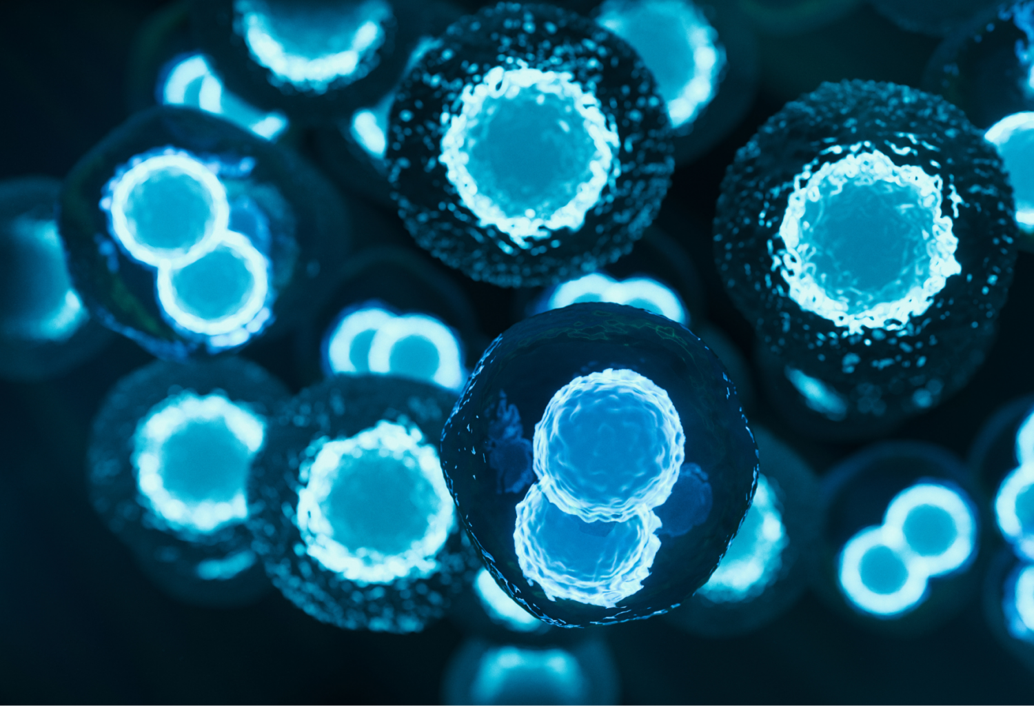 3D rendered image of stem cells with a bright blue nucleus
