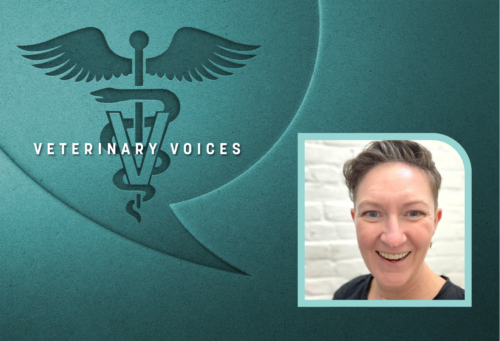 Teal veterinary voices logo with a headshot of Sarah Wolff in the bottom righthand corner