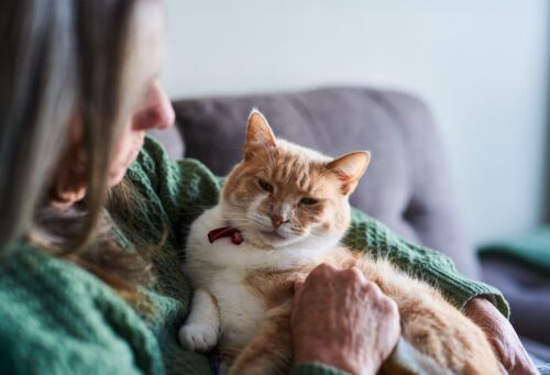 senior woman holding orange cat