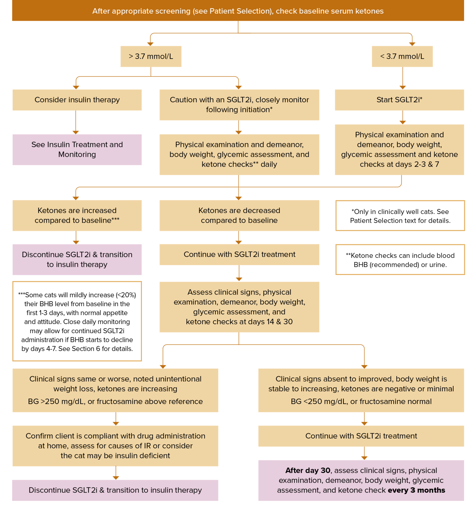 SGLT2 Inhibitor Treatment in Cats