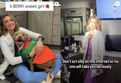 A blonde veterinarian cuddles a dog in a strawberry outfit captioned 
