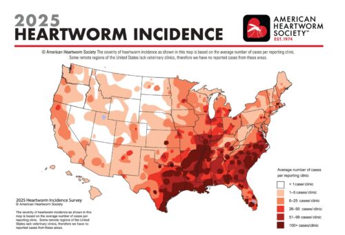 heartworm incidence map