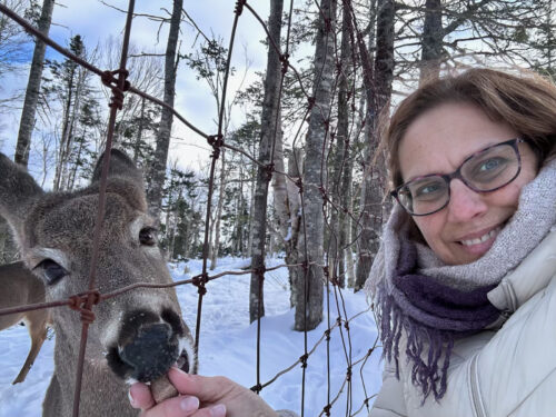 Dr. Eva J. Ojolick feeds a donkey at a sanctuary