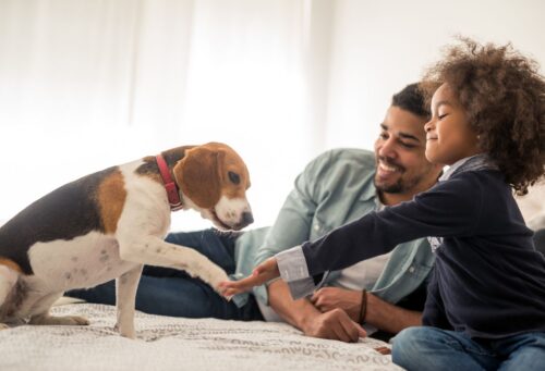 young child with father and dog on bed