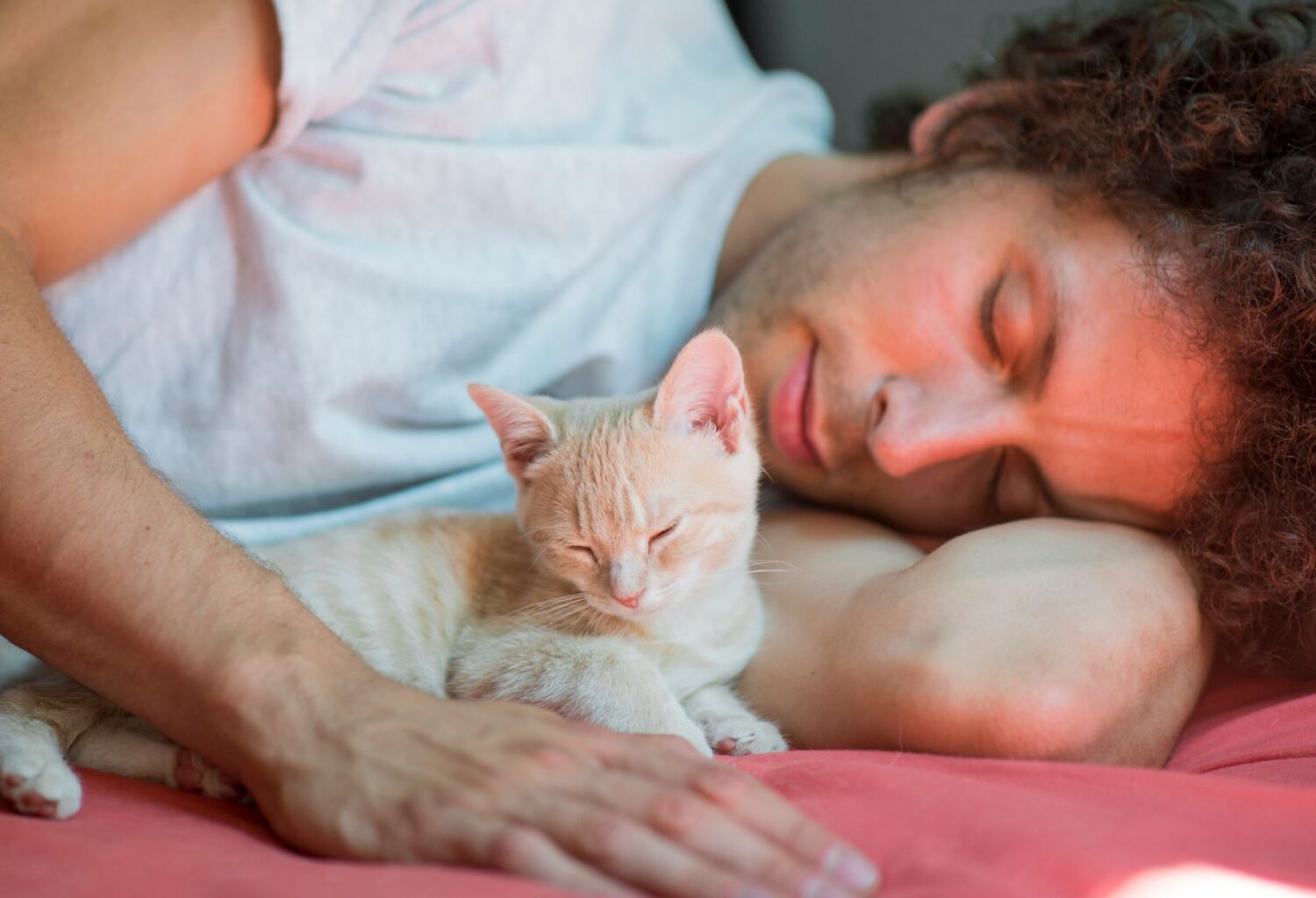 Young man with small orange kitten
