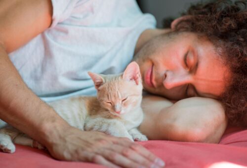 Young man with small orange kitten