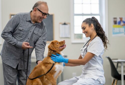 young woman veterinarian with older man client and brown retriever