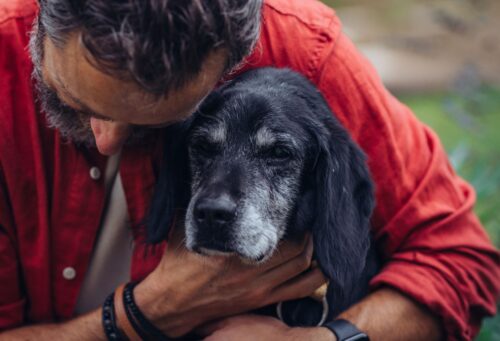 man with old black dog grey muzzle 1776