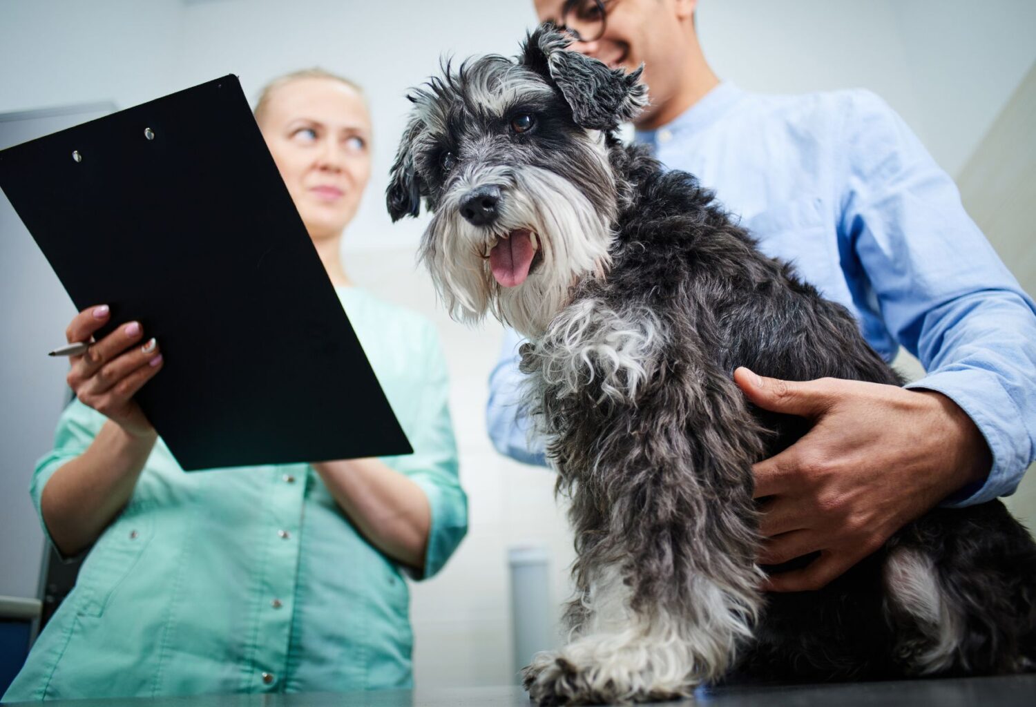 terrier with owner and veterinarian