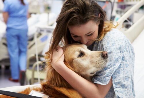 woman in hospital with therapy dog