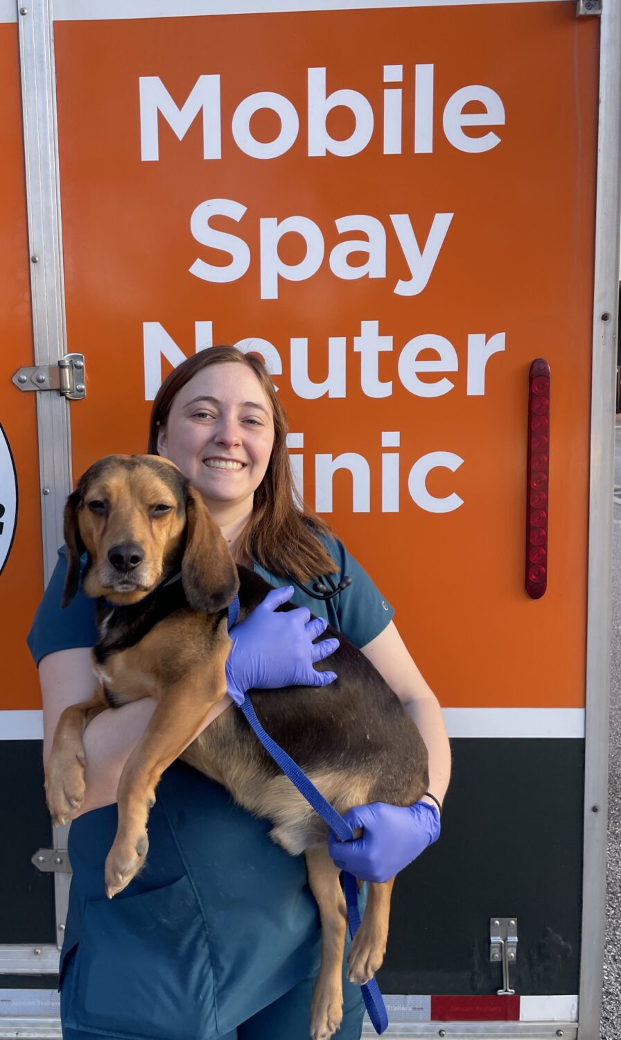 UT Mobile spay and neuter clinic