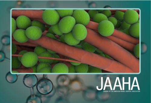 JAAHA - staph bacteria