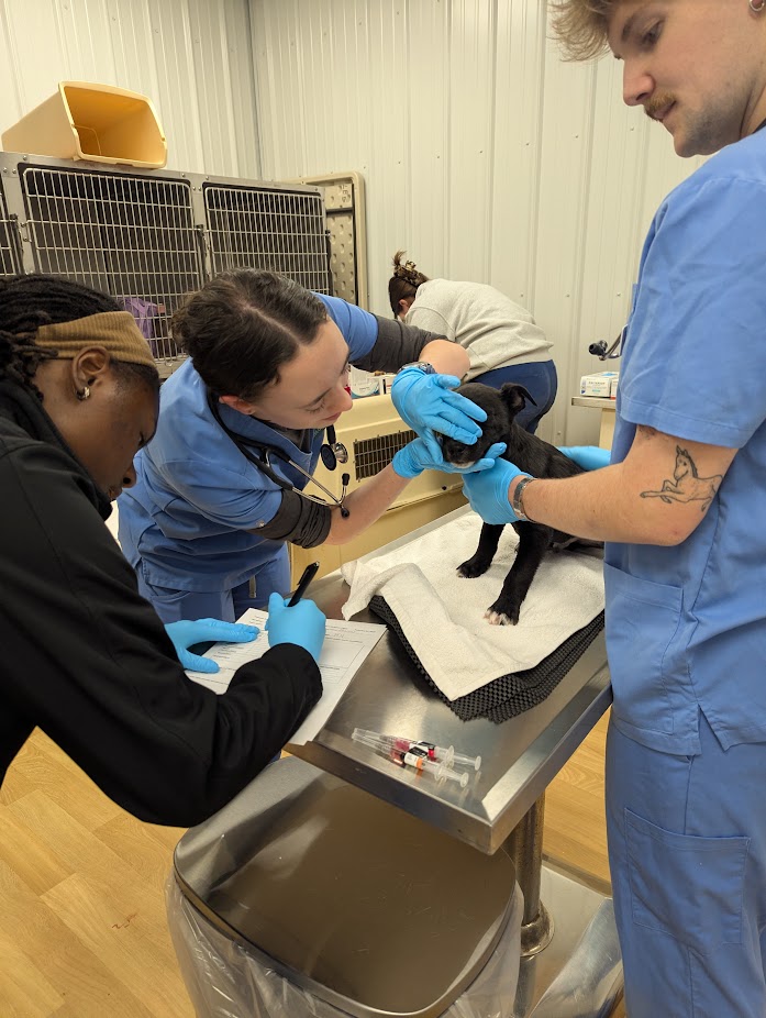 Maddie's mobile clinic