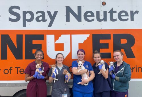 students pose with puppies at UT mobile spay neuter clinic