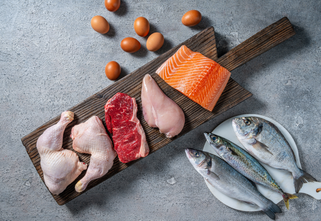 Precision fermentation protein: A sustainable alternative for pet food?