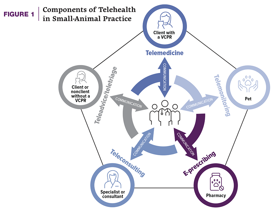 Image of components of telehealth